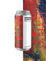 Boundary CAN Unnecessary Symmetry Pale Ale 4.6% 24x440ml