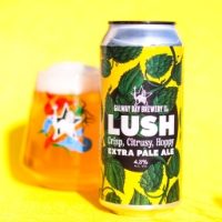 Galway Bay CAN Lush Extra Pale Ale 4.3% 12x440ml