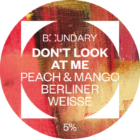 Boundary KEG Don't Look At Me Berliner Weisse 5.0% 20LTR (KK)